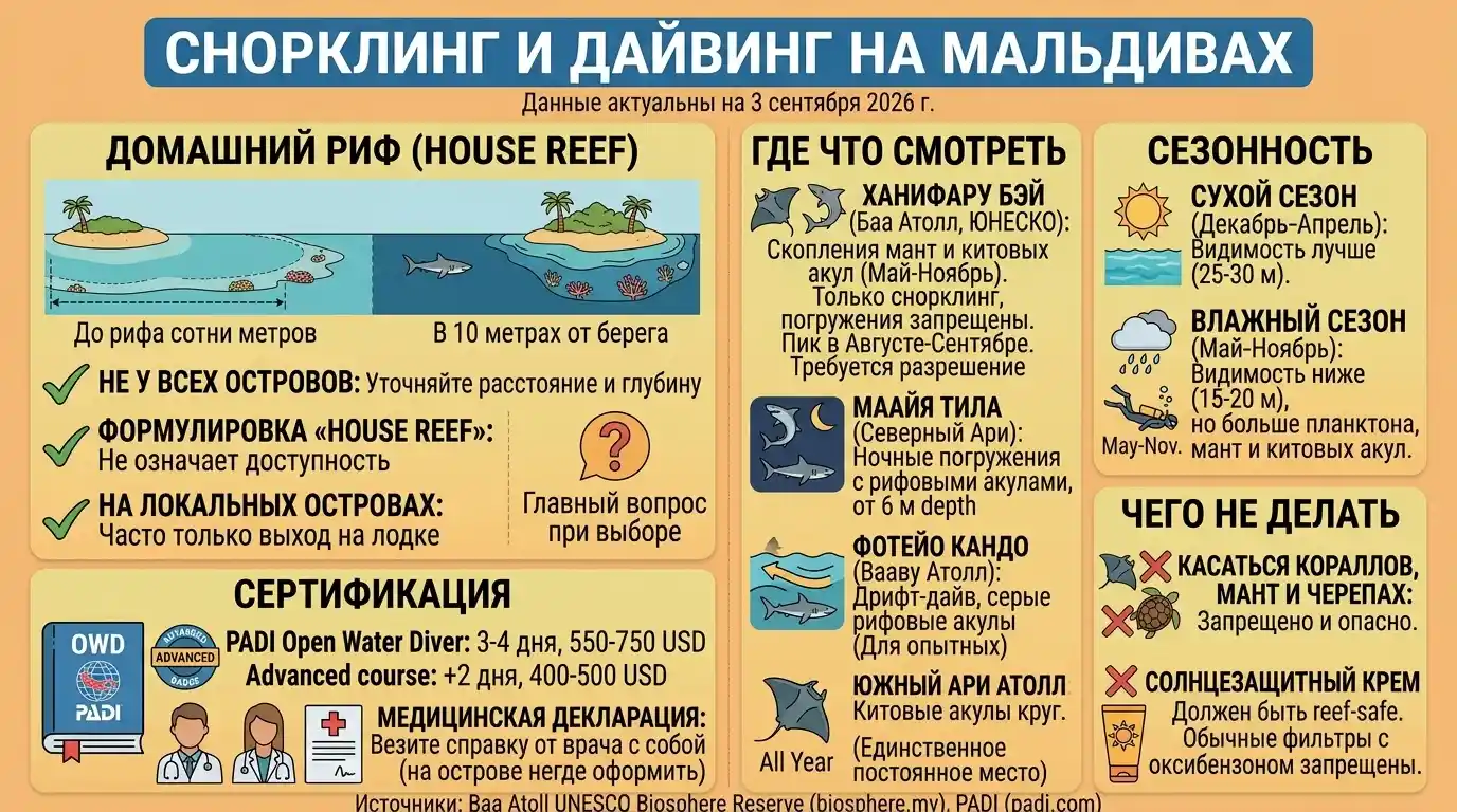 Снорклинг и дайвинг